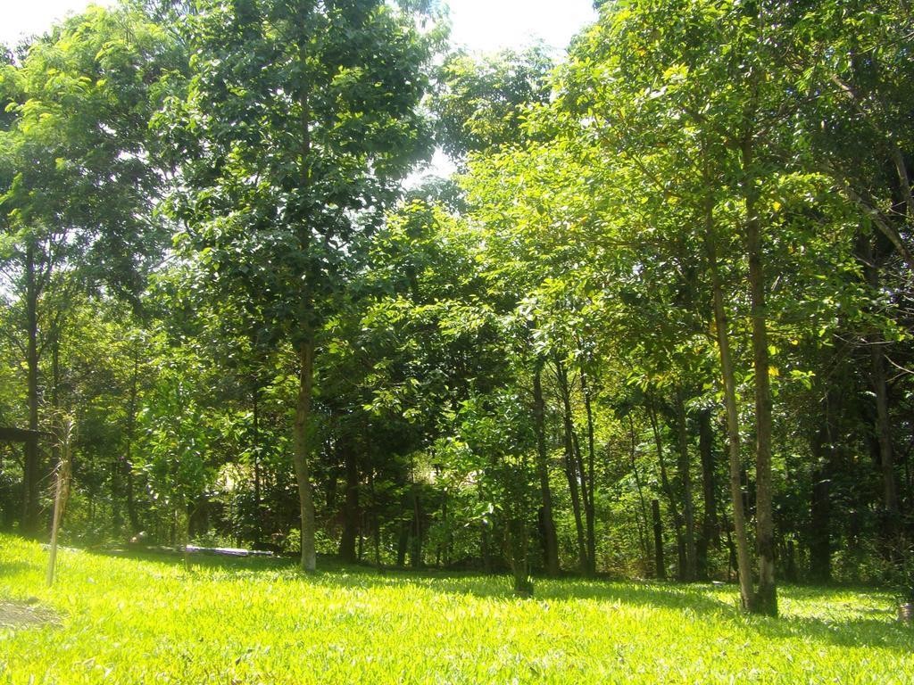 Voces De La Selva Misionera Porto Iguaçu Exterior foto